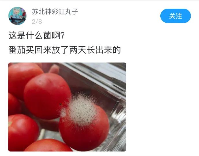 菌:想研究我?没那么容易