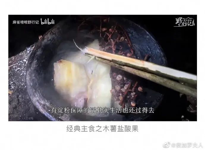 一个人在丛林待三个多月，我的天！