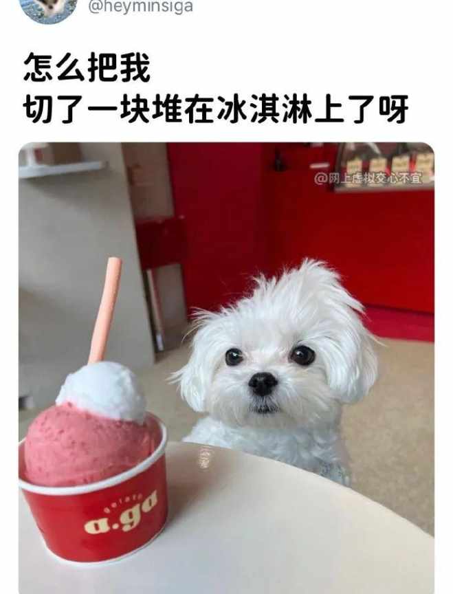 好多棉花团子，是要被我亲晕的