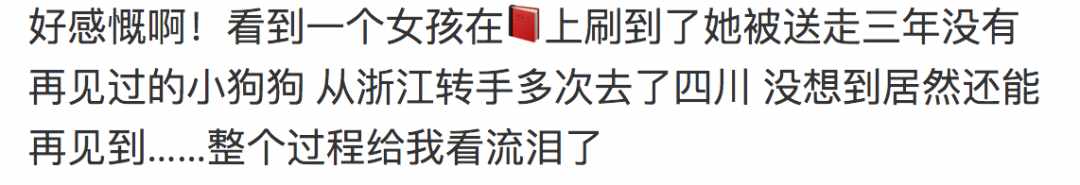 狗不会忘记人，人也不会忘记狗